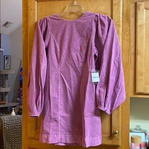 Violet mini dress NWT